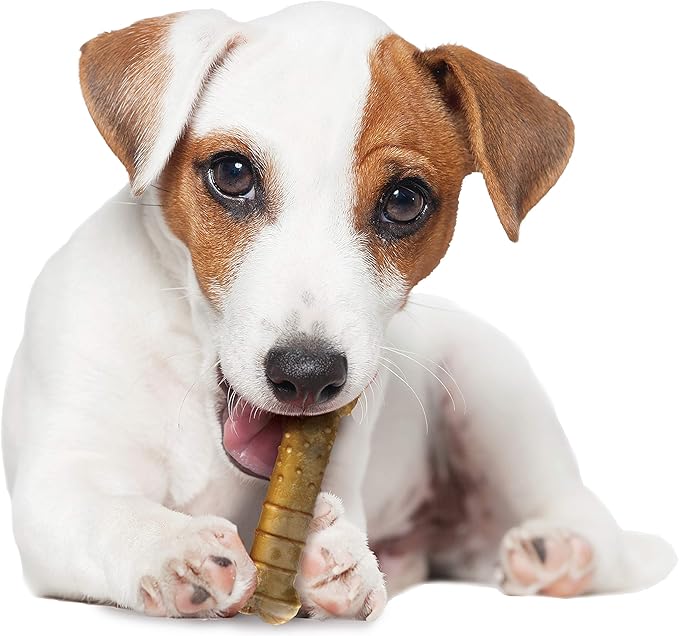 Nylabone Healthy Edibles Natural Dog Chews, Long Lasting Bones for Dogs, Turkey & Apple Flavor Dog Treats, Small (4 Count)
