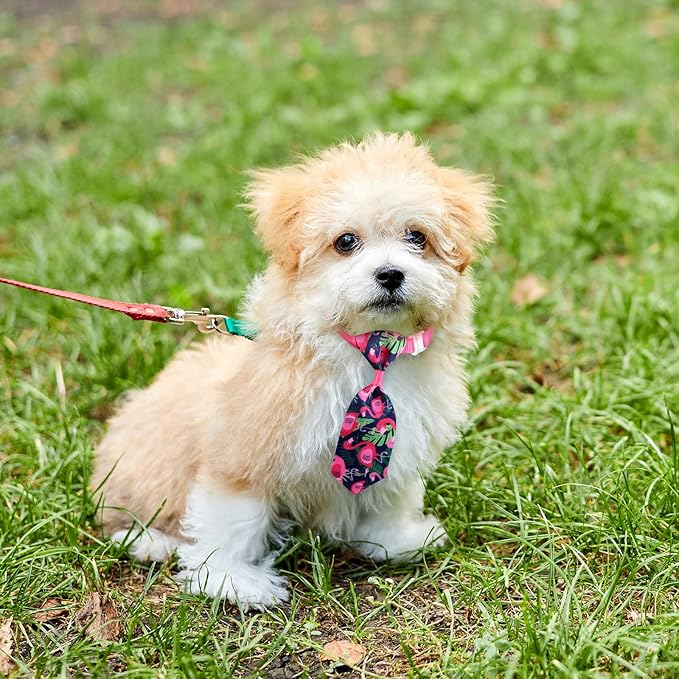 Reginary 100 Pieces Dog Bow Tie Collar Set Include 40 Dog Neckties, and 30 Puppy Bowties, 30 Collar Flowers, Adjustable Pet Ties Grooming for Small Medium Cats Pets Supply(Flamingo)