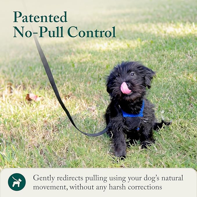 Sporn No Pull Dog Harness, Durable Nylon Mesh Harness for Small Dogs, No Choke Design, Padded Restraint Sleeves, Adjustable Fit, Easy On/Off, Ideal for Small Breeds, Blue