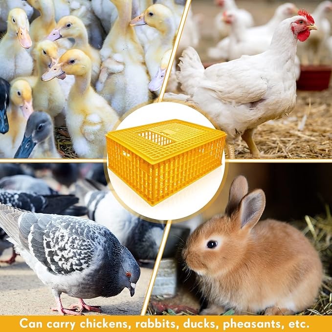 Sintuff 2-Piece Poultry Carrier - Plastic Chicken Transport Cage, 29.5 x 21.7 x 11.6 Inch