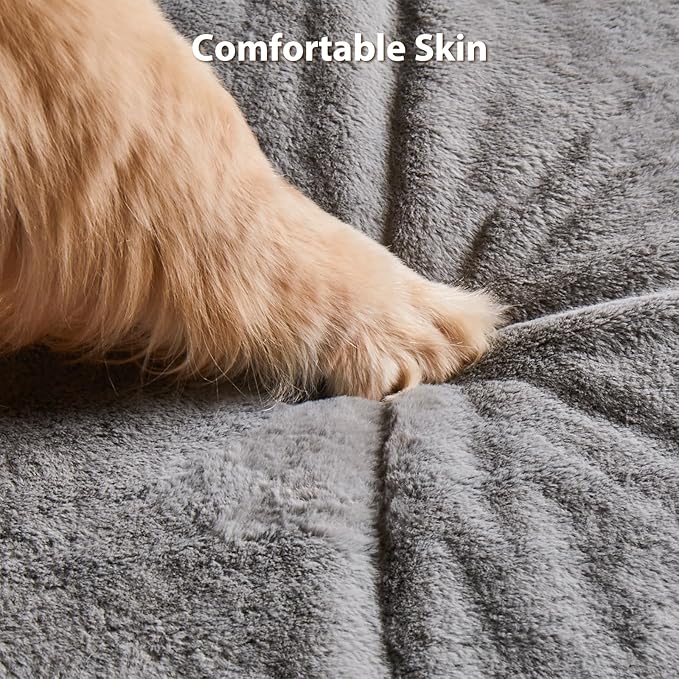 BFPETHOME Dog Beds for Small Dogs, Washable Dog Bed with Sides, Orthopedic Small Sized Soft Mats with Removable Cover & Waterproof Pet Mat for Pet