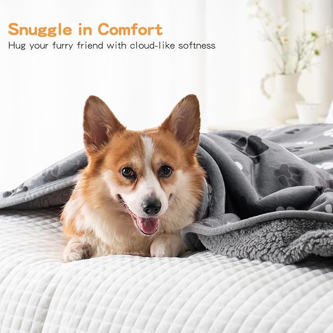 Waterproof Dog Blankets Pet Blanket, 30"x40" Cat Blanket for Indoor Cats, Soft Fluffy Sofa Car Bed Protector, Reversible Sherpa Fleece Puppy Blanket for Small Medium Dogs (Dark Grey-Paws)