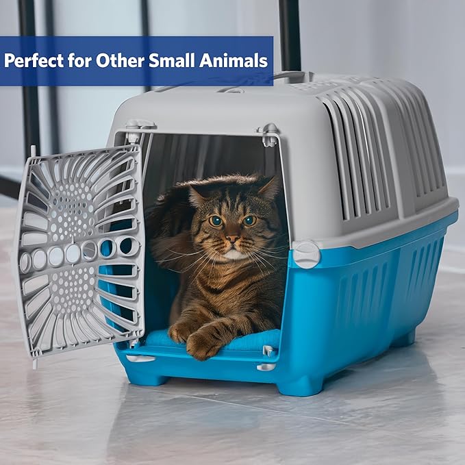 MidWest Homes for Pets Spree Travel Pet Carrier | Hard-Sided Pet Kennel Ideal for XS Dog Breeds, Small Cats & Small Animals | Dog Carrier Measures 22.3L x 14.2 W x 15H - Inches