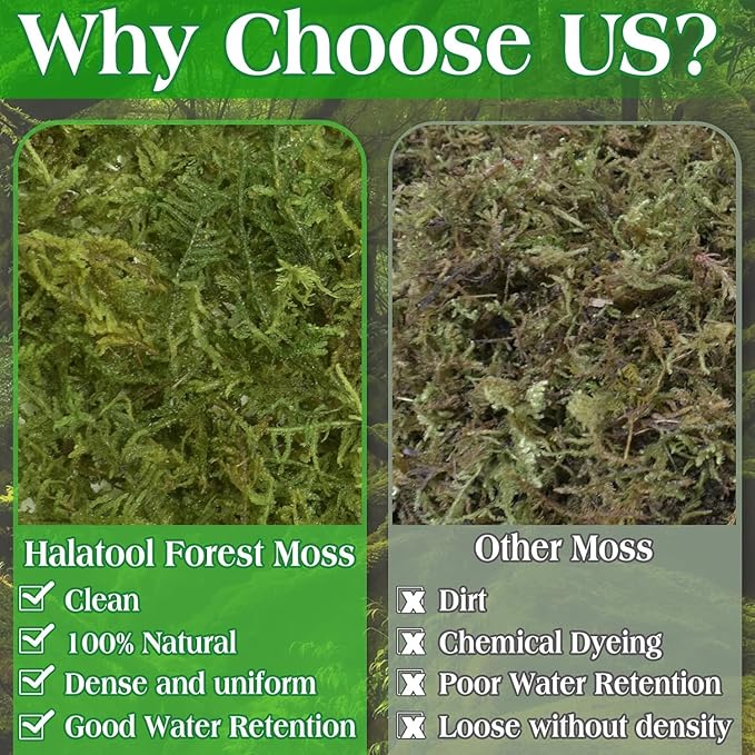 Halatool 2.2LBS Forest Green Moss for Indoor Potted Plants, Orchid Potting Mix, Indoor Potting Plant Moss for Repotting Terrariums Garden Reptiles