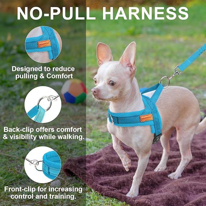 BEAUTYZOO Dog Harness for Small Dogs, No Pull Dog Harness and Leash Set, Soft Escape Proof Puppy Vest Harness with Handle, Reflective Lightweight Step in Harness for Girl Boy Dogs, Blue M