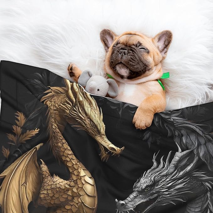 Waterproof Dog Blanket Soft Pet Blanket for Puppy Cat, Fleece Cat Throw Blankets for Furniture Bed Couch Sofa Reversible - Vintage Metal Dragon