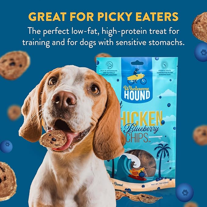 Chicken & Blueberry Chips – 2 Simple Ingredient Dog Treats, All Natural & Healthy Training Snacks for Small, Medium & Large Breeds, Puppies – High Protein, Made in US, 7oz