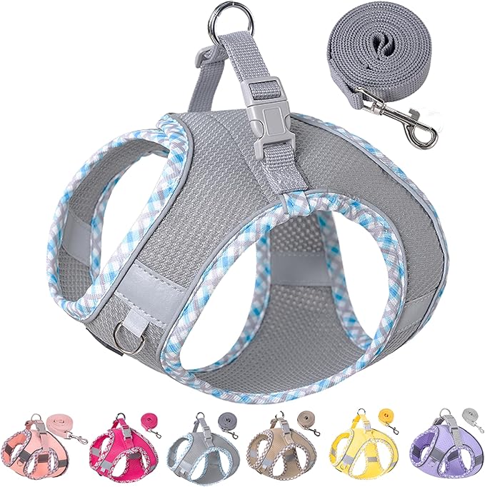 Petank Dog Harness for Small Medium Dogs No Pull, Puppy Harness and Leash Set for Walking, Running, Training, Small Dog Harness, Medium Dog Harness (Grey, M)