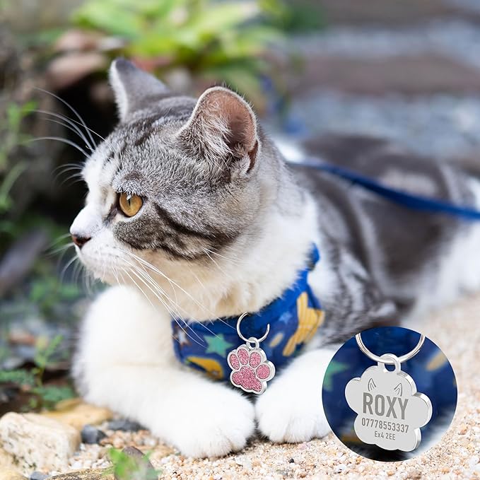 EDSG Cat Dog Tags Personalized for Pets, Dog Name Tags Cat Name ID Tag, Engraved Dog Tags Dog ID Tags Small Glitter Bling ID Tag Paw Print for Cat Pet Dog Puppy(Blue,Design 1)
