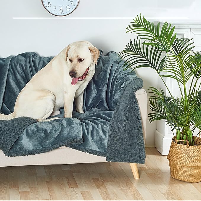 Waterproof Pet Blanket, Lovers Blanket Reversible Plush Sherpa Fleece Furniture Protector for Sofa, Bed & Couch, Liquid & Pee Proof Dog Blanket Cover for Dogs Cats Lovers Couples (Black, XS(20"x28"))