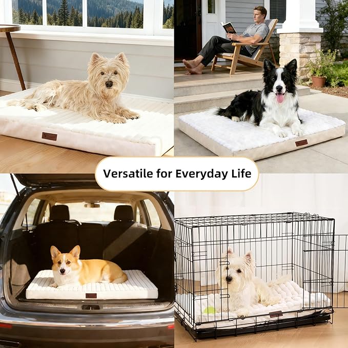 Orthopedic Dog Bed with Firm High-Density Egg Crate Foam, Machine Washable Cover & Non-Slip Bottom for Medium Breeds (Beige, 29" L x 18" W x 3" H)