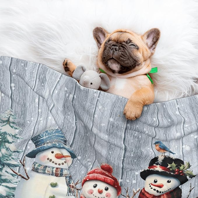 Winter Snowman Throw Blanket - Wodden Blanket for Dog Cat Snowy Pet Blankets 23x16 for Couch Sofa Bed
