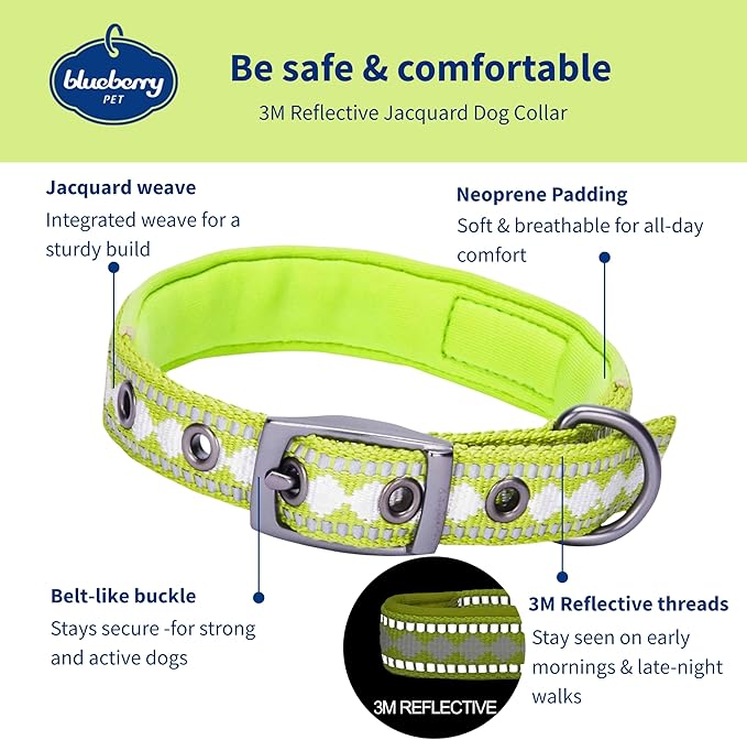 Blueberry Pet Reflective Jacquard Dog Collar with Neoprene Padding & Metal Buckle | Soft & Adjustable Safety Collar - Macaw Green, Neck 13-16.5", for Medium Breed