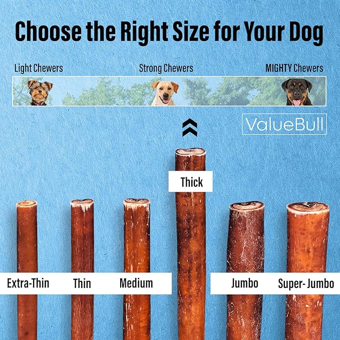 ValueBull Bully Sticks for Dogs, Thick 12 Inch, 100 Count - All Natural, Grass Fed, Single Ingredient, Long Lasting Dog Treats