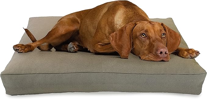 Large - 42 x 28 x 5 - Natural Premium Organic Hemp Dog Bed - Organic Latex Fill - Removeable Cover