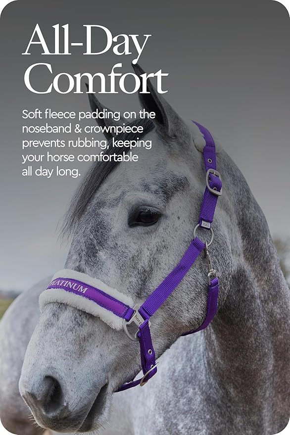 HORZE Howard Soft Fleece Padded Adjustable Polyester Horse Halter - Purple - Cob