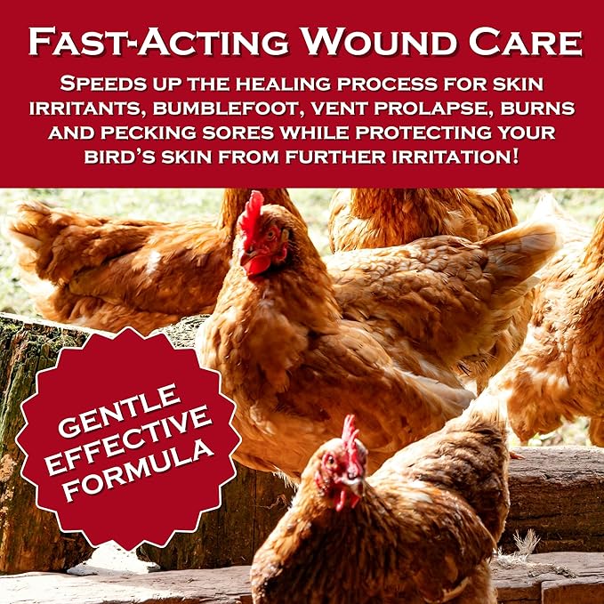 Chicken's Choice Wound Care for Chickens & Birds. Advanced Wound Care Spray for Poultry. Works for Bumblefoot, Vent Prolapse, Pecking Sore, Burns & Skin Irritations. 8 oz Ready to Use Spray