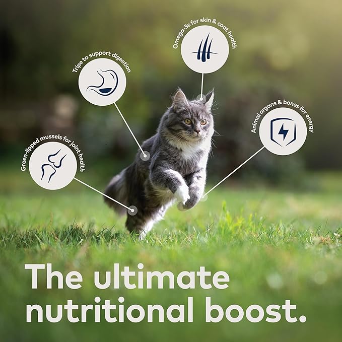 ZIWI Peak Wet Cat Food Variety Pack - Beef, Chicken, Lamb, Venison, 12 Pack (3oz Each)