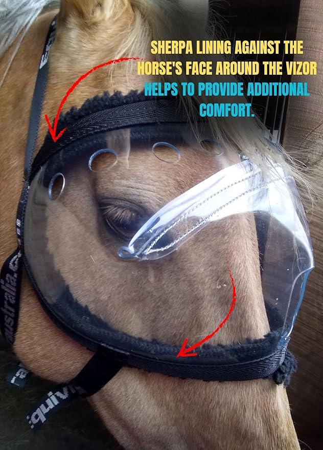 Recovery Vizor, (Size XL - Clear UV Tint) Medical and Preventative Horse Eye (Goggle) Protection Mask for Uveitis/Injury/Scratch or Corneal Ulcer, Infection, Blindness