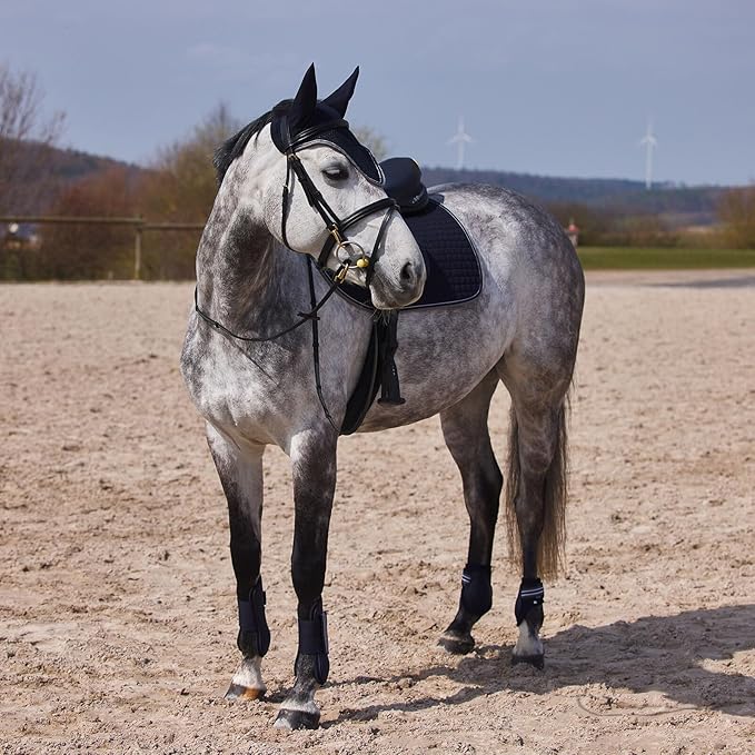 HORZE Adepto Open Front Tendon Boots | Durable Shell with Neoprene Lining - Dark Navy - Pony