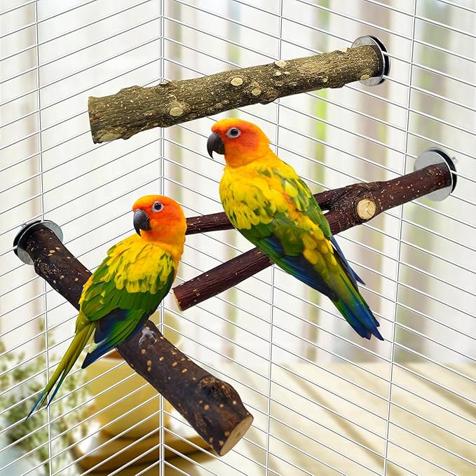 BNOSDM 5PCS Bird Mirror with Perches Stand Parrot Natural Wood Stick Perches Forked Perch Branch Parakeet Toy Set Bird Cage Accessories for Budgie Cockatiel Conure Finch Lovebird