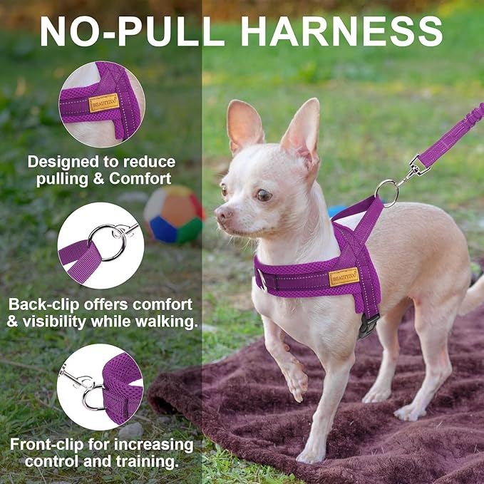 BEAUTYZOO Dog Harness for Small Dogs, No Pull Dog Harness and Leash Set, Soft Escape Proof Puppy Vest Harness with Handle, Reflective Lightweight Step in Harness for Girl Boy Dogs, Purple XS