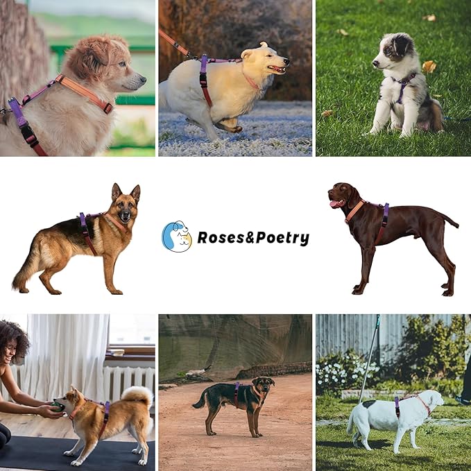 Roses&Poetry Dog Harness with Leash, No Pull Adjustable Harness Leash, Reflective Dog Halter Harnesses Comfort Padded Handle, Pet Walking Harness for Medium Dogs（Mistyrose-M）