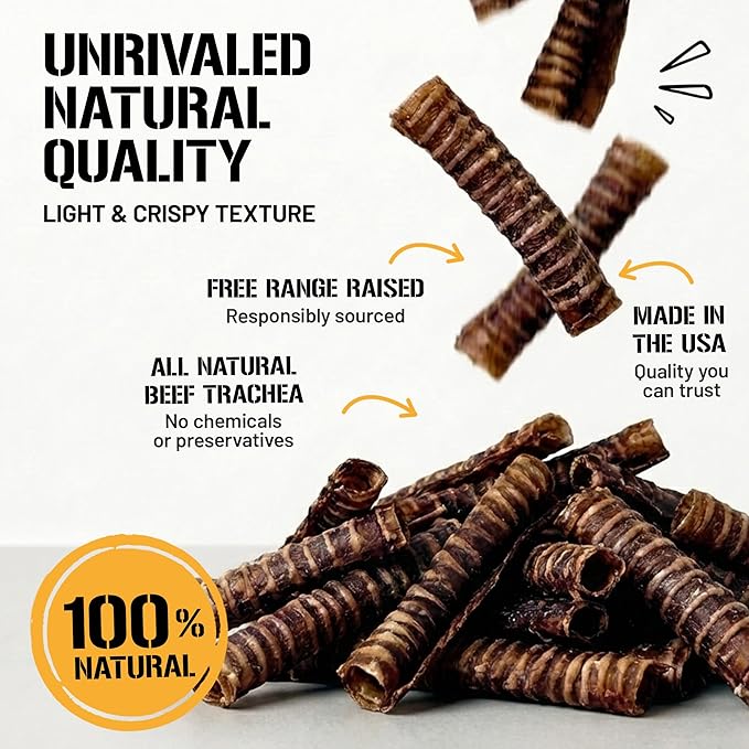 Dog Chits Lamb Trachea Dog Chews - 100% Single Ingredient, High Protein, Low Fat - Glucosamine for Joint Support - Dental-Clean Crunch - for Dogs Sensitive to Beef, Training Treat - 6 inch, 8 oz