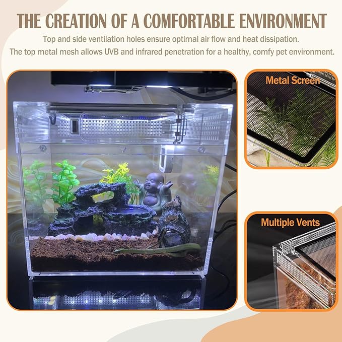 Reptile Terrarium, Jumping Spider Enclosure Starter Kit, Leopard Gecko Habitat Container, 8"x8"x6"Reptile Tank for Tarantula, Hermit Crab, Insect, Fish, Frog, Small Bearded Dragon, Lizard