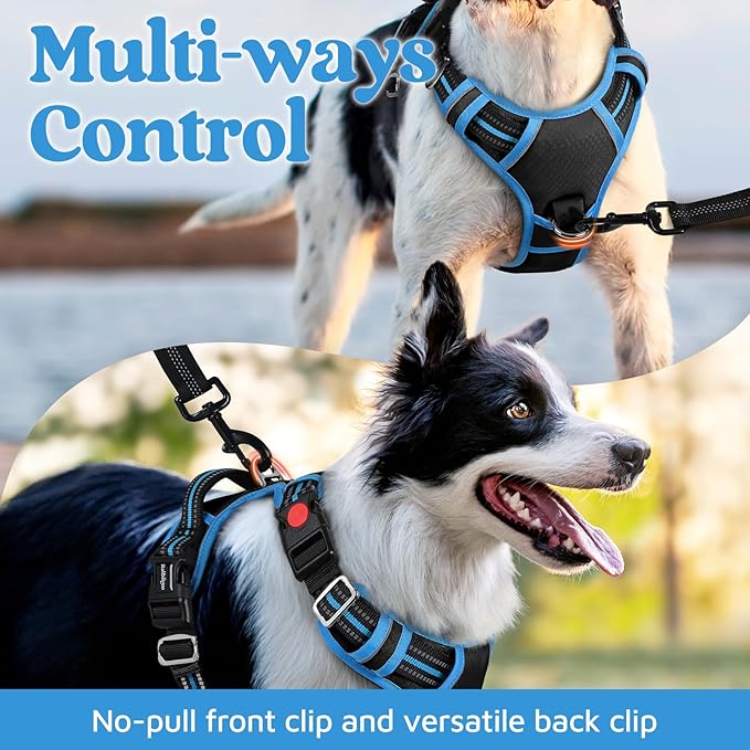 rabbitgoo Dog Harness Small Sized, No Pull Dog Vest with 3 Buckles, Adjustable Soft Padded Pet Harness with Easy Control Handle and Reflective Strips, Black & Sky Blue, S