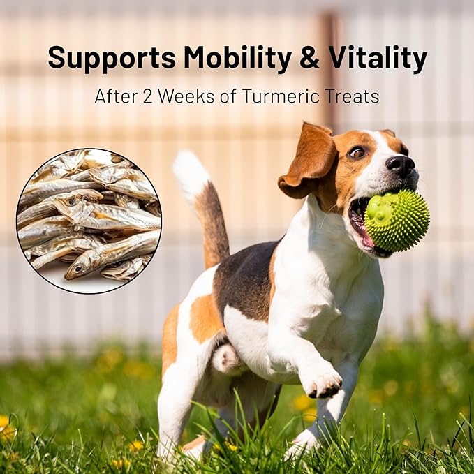 Happy Gluten Free Herring Dog Treats – Wild-Caught Dried Fish for Dogs & Cats – Single Ingredient, High Protein Fish Treats – Made in Alaska, Infused with Turmeric (3.5 oz)