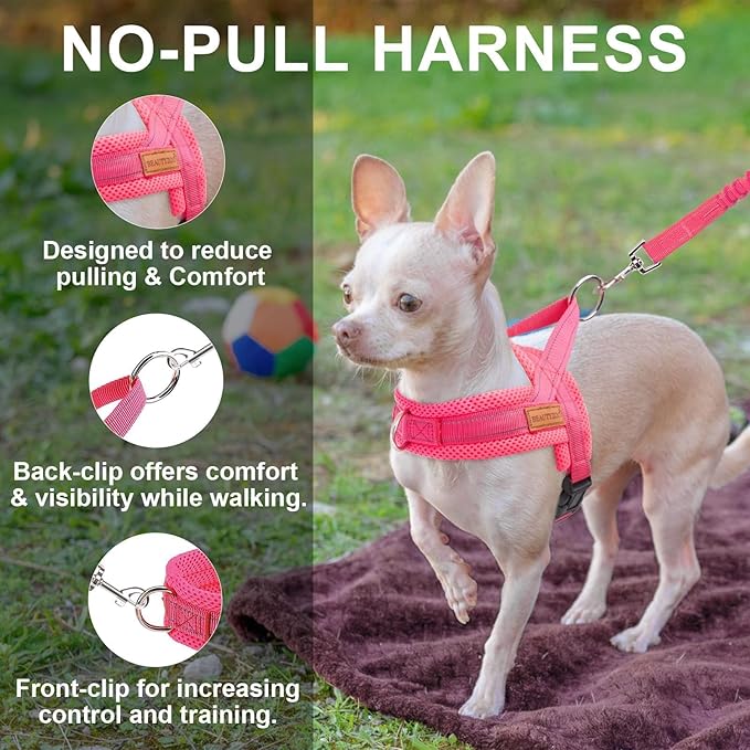 BEAUTYZOO No Pull Dog Harness Medium Sized Dog, Breathable Mesh Padded Dog Harness and Leash Set, Adjustable Reflective Escape Proof Dog Vest Harnessss Quick Fit for Training Walking, Hot Pink M