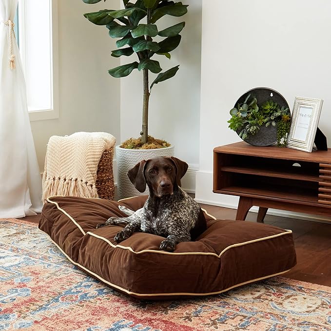South Pine Porch Buddy Reversible Rectangle Pillow Style Microfiber Dog Bed with Removable, Machine-Washable Cover, Cocoa, Medium (42 in. x 30 in.)