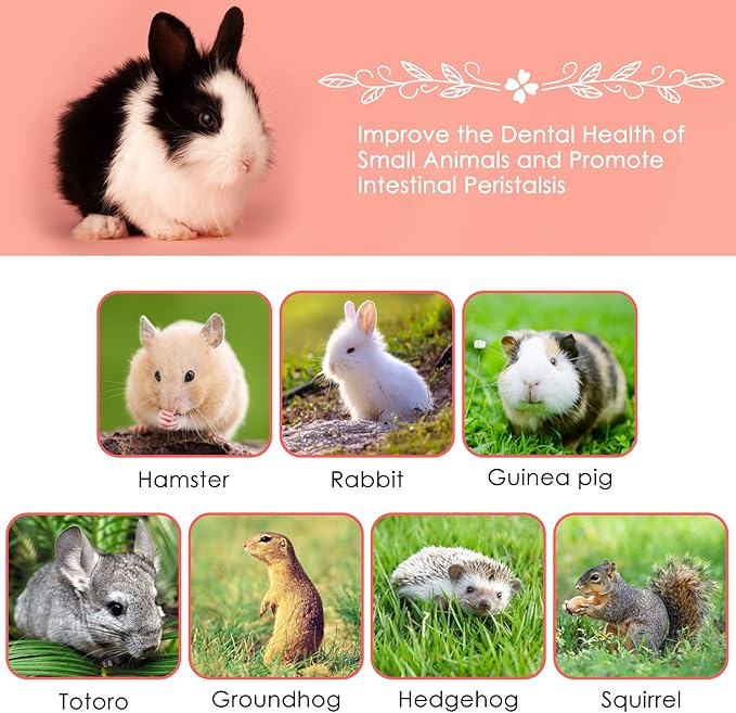 ERKOON Natural Apple Sticks 300g (10.5oz Small Animals Molar Chew Toys Apple Branch Chew Treats for Hamster Rabbit Chinchilla Bunny Guinea Pig Squirrel