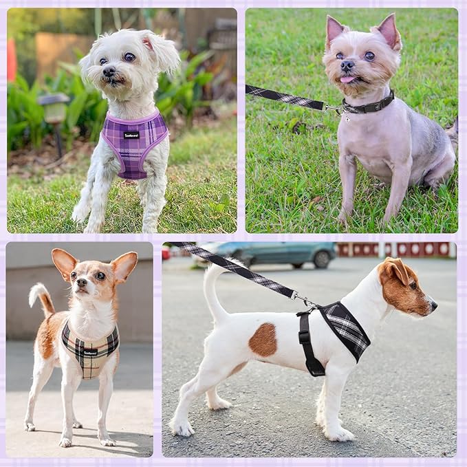 SCENEREAL No Pull Dog Harness Collar and Leash Set Small Medium Sized Dog, Soft Mesh Puppy Harnesses, No Chock Plaid Adjustable Pet Vest for Outdoor Walking Training and Running, Purple S