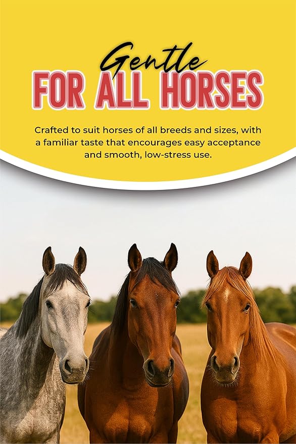 Horse Paste Gel 1.87% – Apple Flavored Oral Syringes – 6.08g Each (2-Pack) – Adjustable Weight Markings – for Equine Use