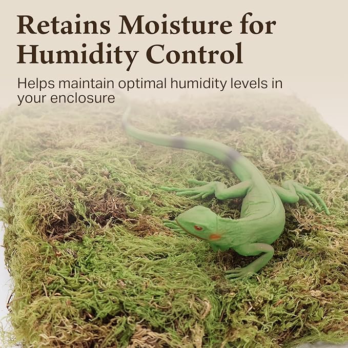 The Habitat Life - Natural Deco Moss - for Reptiles, Amphibians & Invertebrates Terrariums - Humidity Control - Natural Look & Feel - Soft Surface - Dye-Free & Safe - Small - 2 Pack