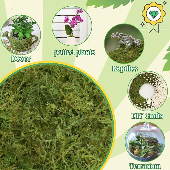 Halatool 1.1LB Green Moss for Potted Plants, 25QT Orchid Moss Potting Mix, Forest Moss for Indoor Plants, Indoor Potting Plant Moss for Repotting Terrariums Garden Reptiles