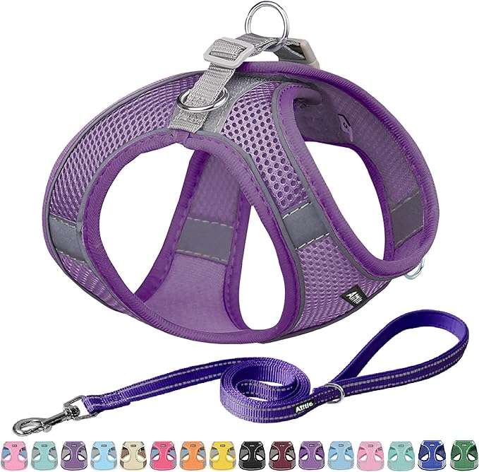 AIITLE Easy Walk Dog Harness and Leash Set - Pet Supply No Pull, Step in Adjustable Pet Harnesses with Padded Vest for Summer, No Choke Over, Easy to Put on Medium Dogs Pure Purple L