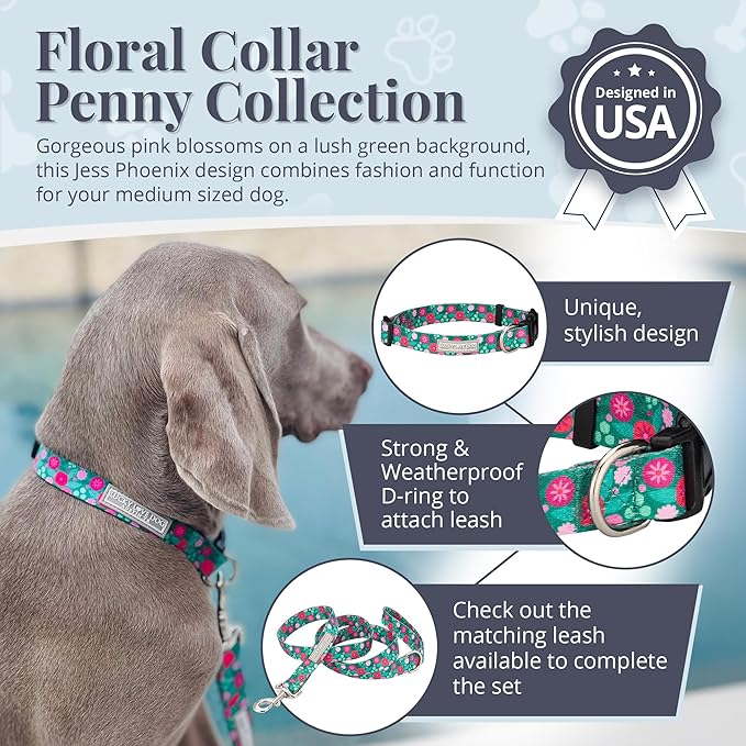 Lucky Love Dog - Adjustable Dog Collar with Easy Click Buckle for Medium Dogs, Durable, & Comfortable for Male & Female Dogs, Pet Collar for Puppies & Adult Ones - Penny, Medium