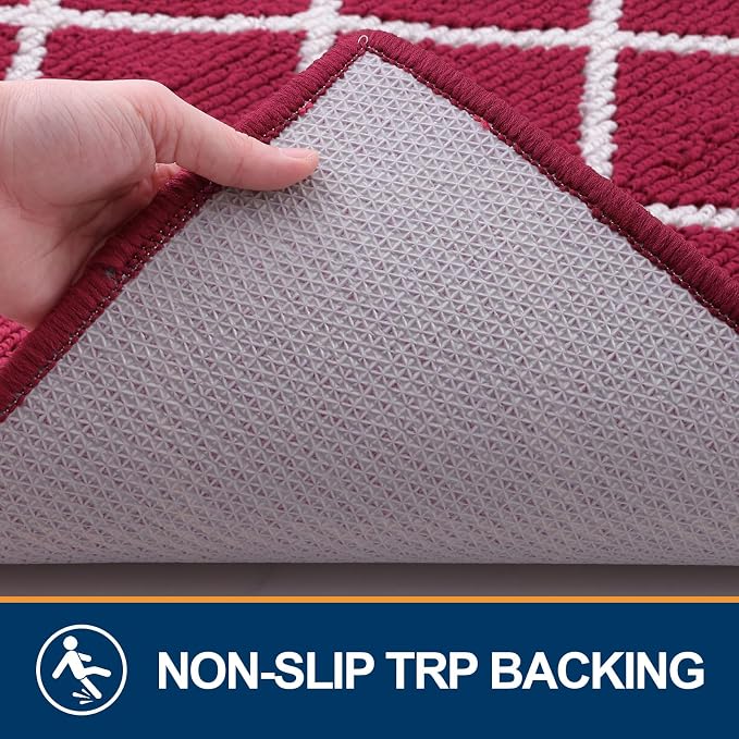 Finchitty Indoor Door Mat, Dirt Resistant and Absorbent, Low-Profile, Washable