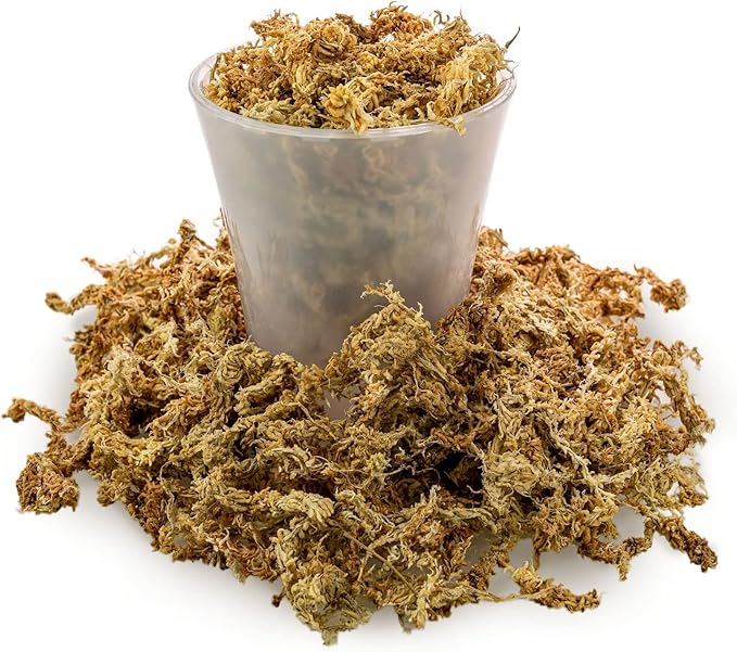 Premium Grade Sphagnum Moss by Gardenera - 10 Quart - Organic Hand Mixed New Zealand Long Fibered Sphagnum Moss Orchid - 2 Bags of 5 Quart