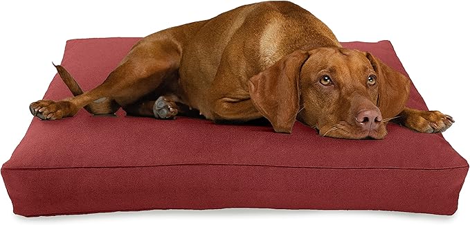XX-Small - 18 x 12 x 4 - Cranberry Premium Organic Hemp Dog Bed - Organic Latex Fill - Removeable Cover