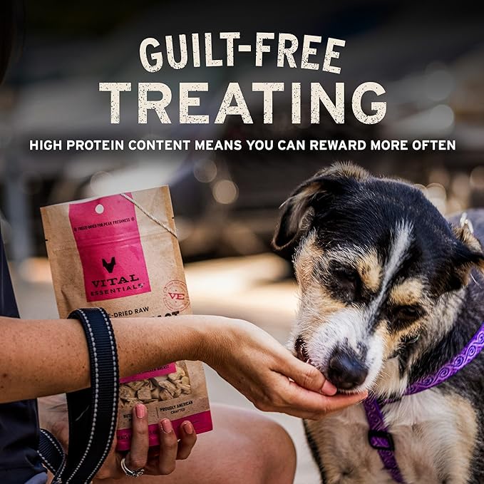Vital Essentials Single Ingredient Chicken Breast Dog Treats, 2.1 oz | Freeze-Dried Raw | Premium Quality High Protein Training Treats | Grain Free, Gluten Free, Filler Free