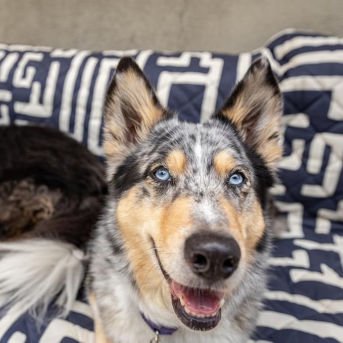 Waterproof Blanket, 60”x70” - Large Couch Cover for Dogs and Pets - Ideal for Picnics, Outdoor, Camping, Beach and More - Large, Washable Protector
