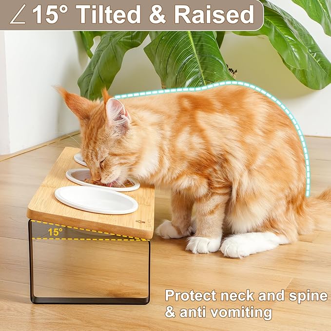 Sunhoo Elevated Cat Bowls for Indoor Cats Raised Tilted Food Water Kitty Dish Stand with 6 Ceramic Bowl Set Orthopedic Wooden Pet Feeder Feeding Sation Reduces Vomiting 4.7in Easy Assembly(Yellow)