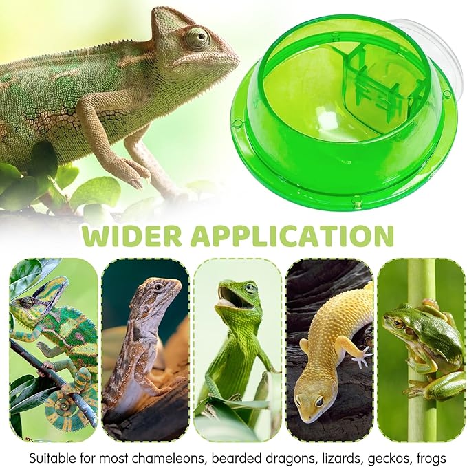 Tfwadmx Chameleon Bowl, Reptile Feeding Feeder,Worm Live Fodder Container, Water Dish Gecko Ledge Suction Cup Feeder Chameleon Supplies Accessories for Gecko Lizard Bearded Snakes Dragon 2 Pcs