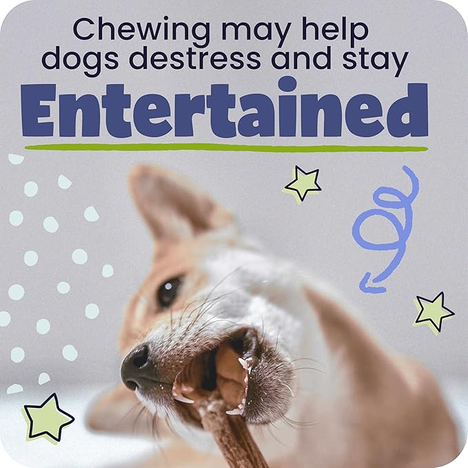 Pawstruck Natural 9" Braided Bully Sticks for Dogs - Long Lasting Rawhide Free Low Odor Single Ingredient Chew Treat for Aggressive Chewers - 1lb Bag