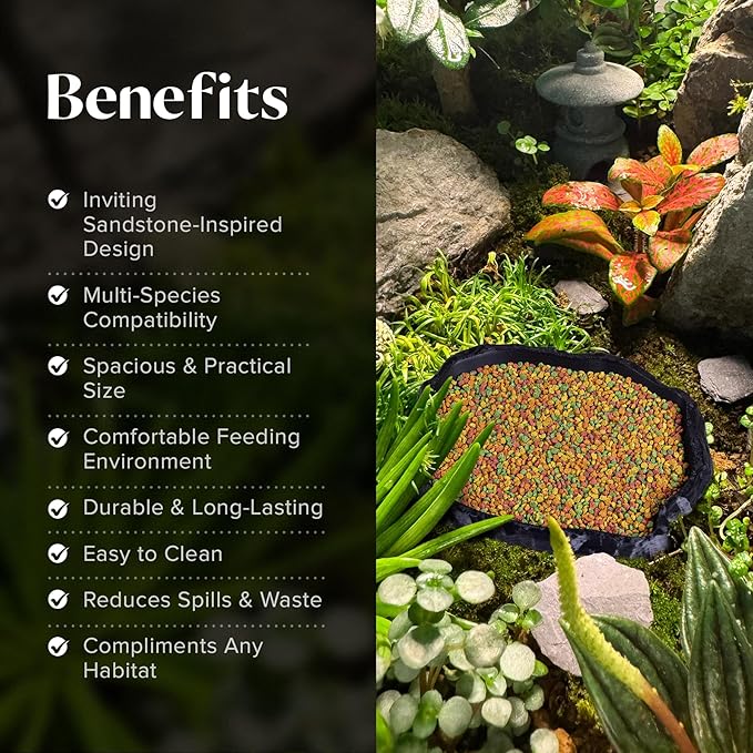 Gecko Cave Reptile Feeding Tray – Naturalistic Pet Dish for Lizards, Snakes, Bearded Dragons, Tortoises & Turtles - Black