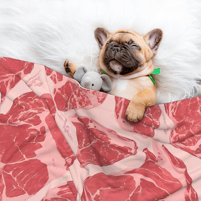 Waterproof Dog Blanket Soft Pet Blanket for Puppy Cat, Fleece Cat Throw Blankets for Furniture Bed Couch Sofa Reversible - Red Meat